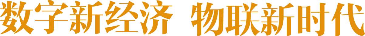 数字新经济 物联新时代