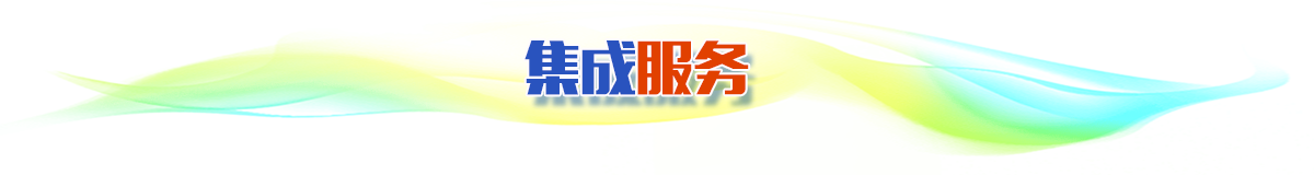 集成服务